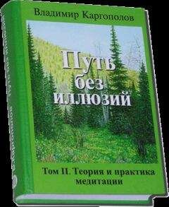 Иван Платонов - Теория структуры жизни