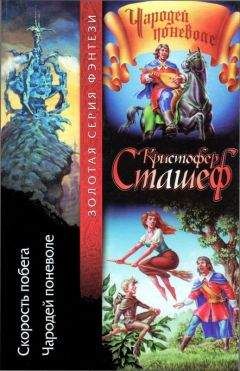 Кристофер Сташеф - Волшебник в мире