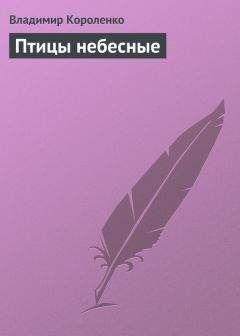 Николай Калиниченко - Здесь будет сад