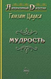 Семен Липкин - Большая книга стихов