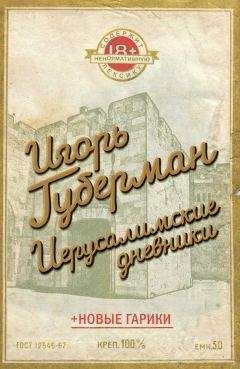 Борис Лихтциндер - Борики. Книга четвертая
