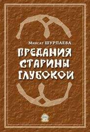 Николай Задонский - Кондратий Булавин