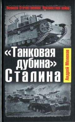 Александр Симаков - Демянское побоище. «Упущенный триумф Сталина» или «пиррова победа Гитлера»?