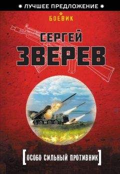 Сергей Зверев - Экстремальная зона