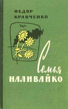 Илья Веселов - Три года в тылу врага