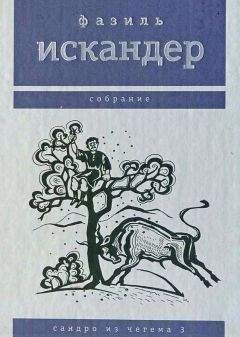 Фазиль Искандер - Сандро из Чегема. Книга 2