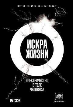  П.А.Сарапульцев - Смысл жизни человека и государства