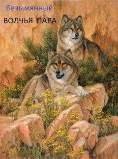 Владимир Бойков - Лили