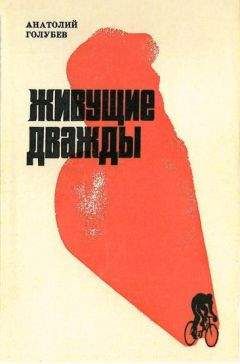 Андрей Васильченко - Нордические олимпийцы. Спорт в Третьем рейхе