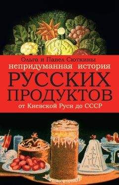 Ольга Сюткина - Непридуманная история русской кухни