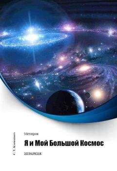 Дмитрий Верищагин - Влияние. Система навыков Дальнейшего ЭнергоИнформационного Развития. III ступень