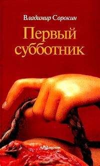 Владимир Сорокин - Пир (сборник)