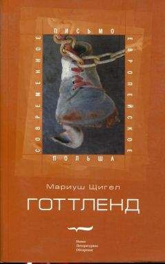 Александр Фурман - Книга Фурмана. История одного присутствия. Часть IV. Демон и лабиринт