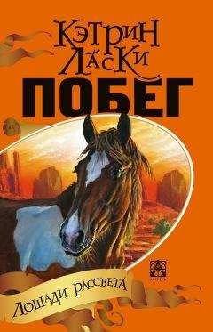 Аркадий Гайдар - Восемь лучших произведений в одной книге