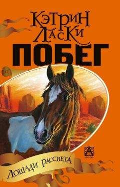 С. Полетаев - История двух беглецов