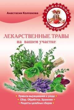 Венедикт Дадыкин - Цитрусовый сад в комнате