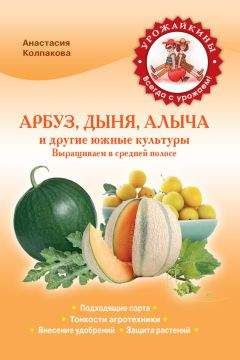 Анастасия Соловьева - Палатки для туризма