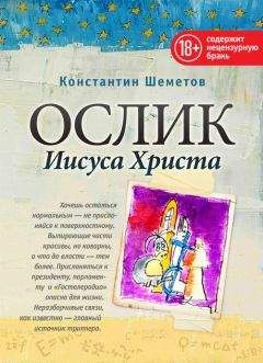 Константин Боровой - Проституция в России. Репортаж со дна Москвы Константина Борового