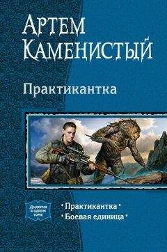 Артем Каменистый - Недобитый (СИ)
