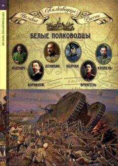 Антон Деникин - Вооруженные силы Юга России. Январь 1919 г. – март 1920 г.