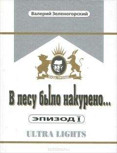 Валерий Зеленогорский - В лесу было накурено