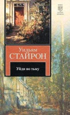 Уильям Стайрон - И поджег этот дом