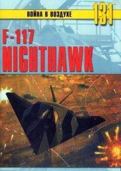 Михаил Никольский - F-117 Nighthawk