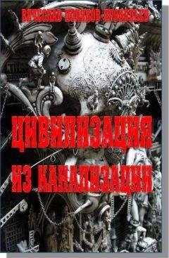 Вячеслав Поляков-Прокопьев - Нф-100: Киллер для президента