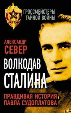 Андрей Судоплатов - Тайная жизнь генерала Судоплатова. Книга 2