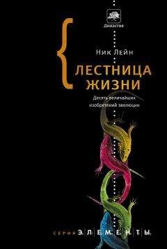 Ник Лейн - Лестница жизни. Десять величайших изобретений эволюции