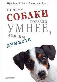 Брайан Хэйр - Почему собаки гораздо умнее, чем вы думаете