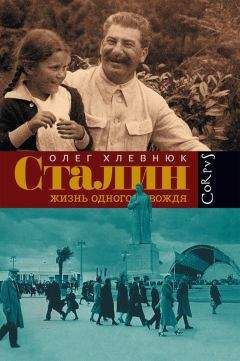 Юрий Емельянов - Сталин. Путь к власти