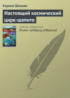 Майкл Гелприн - Канатоходец