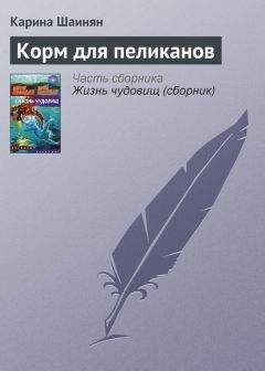 Карина Шаинян - Настоящий космический цирк-шапито