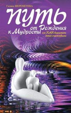 Джигме Ринпоче - Путь мудрости