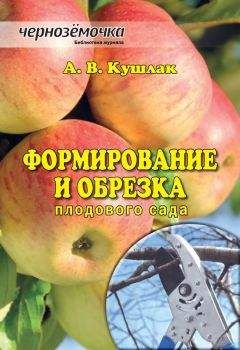 М. Беляков - Ориентирование на местности без карты