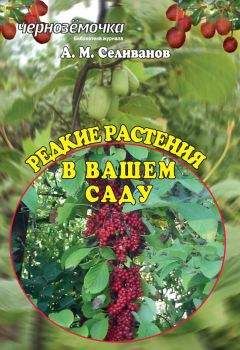 Владимир Щекин - Земляника на вашем участке