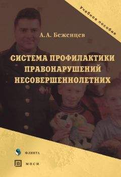 Александр Беженцев - Система профилактики правонарушений несовершеннолетних