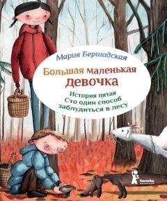 Анастасия Перфильева - Лучик и звездолёт