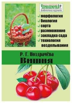 Р. Ноздрачева - Черешня. Районированные сорта. Опыт выращивания в Черноземье