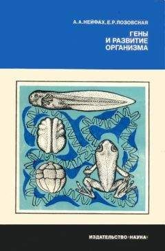 Рената Петросова - Размножение организмов