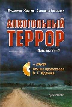 Владимир Карцев - Приключение великих уравнений