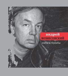 Андрей Сагалаев - Записки алкоголика