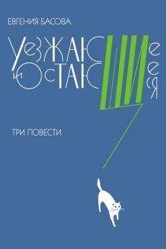 Владимир Каменев - Долгая дорога домой