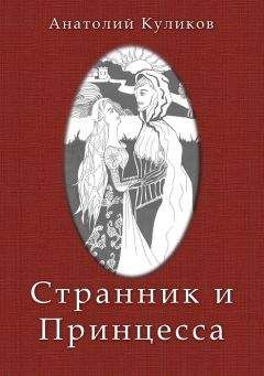 Сергей Мурашов - Хроника Хизантифа. Том I. Проводник