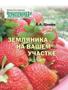 Юлия Потапова - Декоративные деревья и кустарники на участке