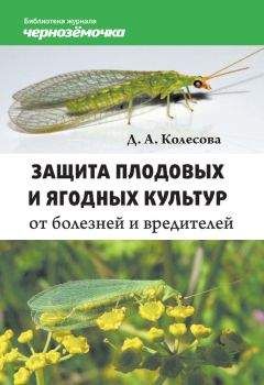 Галина Осипова - Огород. Работа на участке в вопросах и ответах