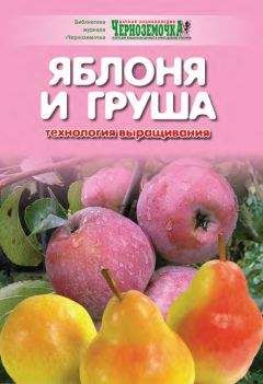 А. Панкратова - Огурцы. Выращивание в грунте, теплице, на подоконнике