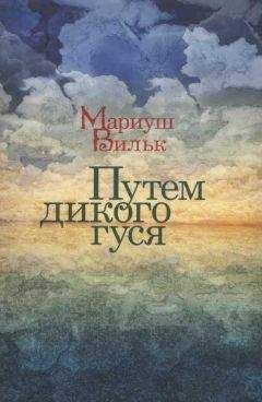 Мариуш Вильк - Путем дикого гуся