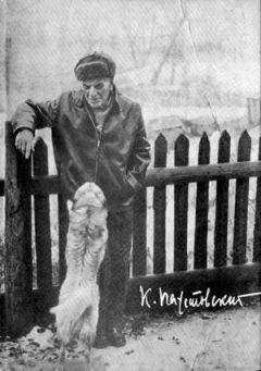 Елена Булгакова - Воспоминания о Михаиле Булгакове